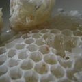 Teotoa talus toimus Hiiumaa mesinike praktiline õppepäev