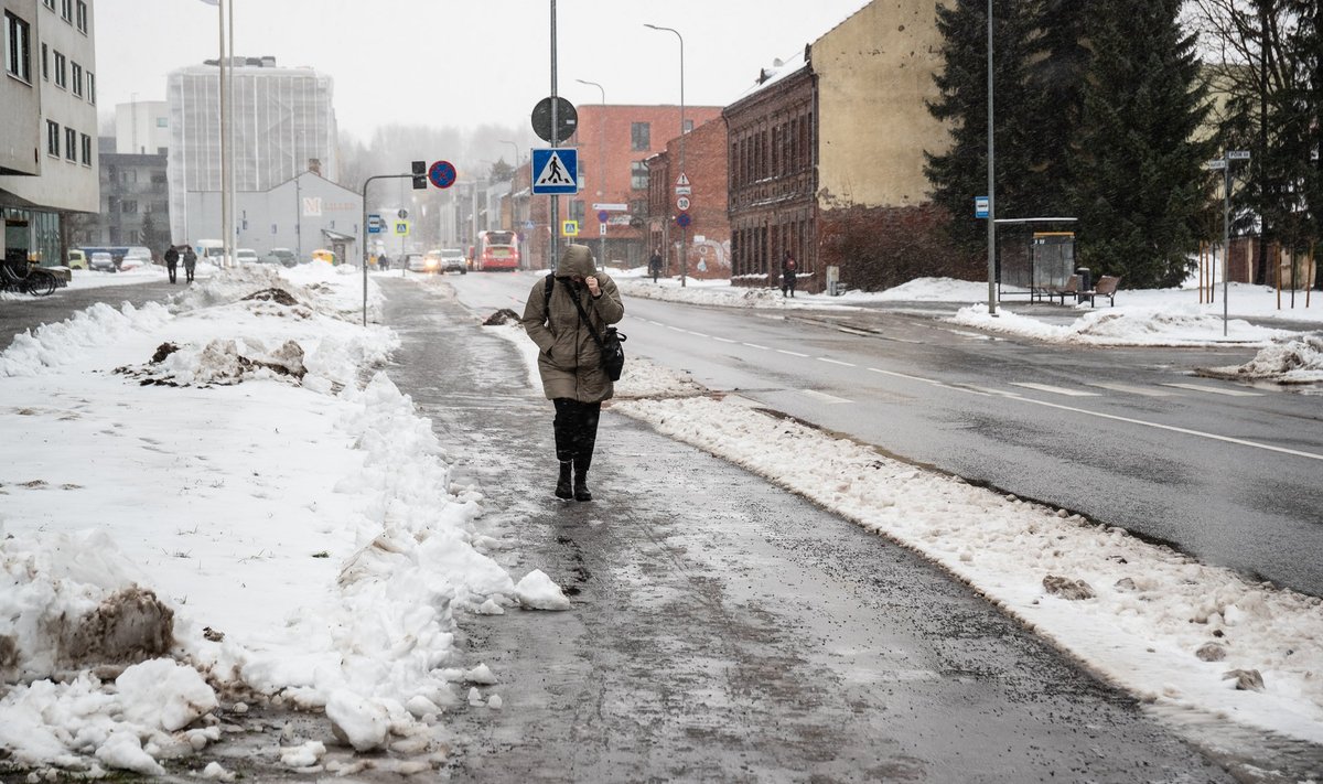 Lörtsine ilm ja sula Tartus