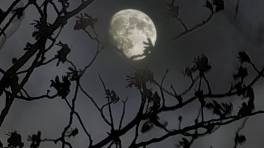 ФОТО | Вся красота ночного неба: как на свой смартфон качественно запечатлеть луну и звезды