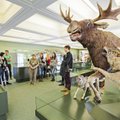 Tartu Ülikooli loodusmuuseum taas avatud