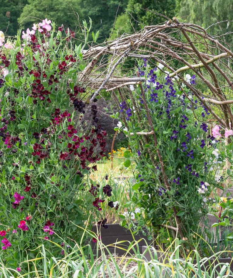 Lillhernestele võid meisterdada looduslikust materjalistefektsed toed. Taimede vahelt välja paistes pakuvad needsamuti silmailu.