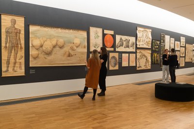 Näitus "Kunst või teadus"