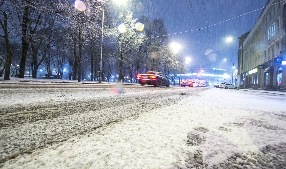 Lörtsisadu Tallinnas