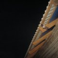 FOTOD: Augusti õhtuhämaruses seiklevad maja ümber taas nahkhiired