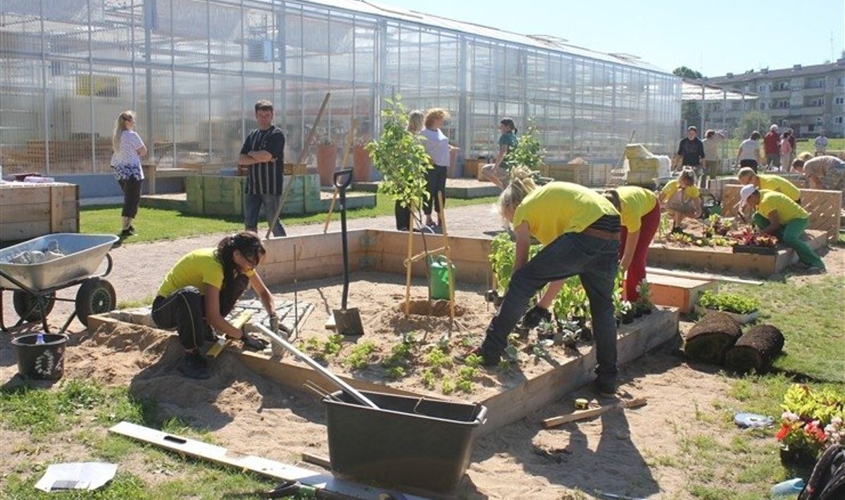 Foto 2011. Floristaia võistlusest. Foto: Räpina aianduskool