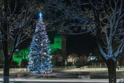 Jõulukuusk - Viljandi