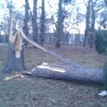 Taasiseseisvumispäeval murdis tuul Lõuna-Eestis ohtralt puid