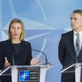 Россия как повод. Что можно ждать от саммита НАТО в Варшаве