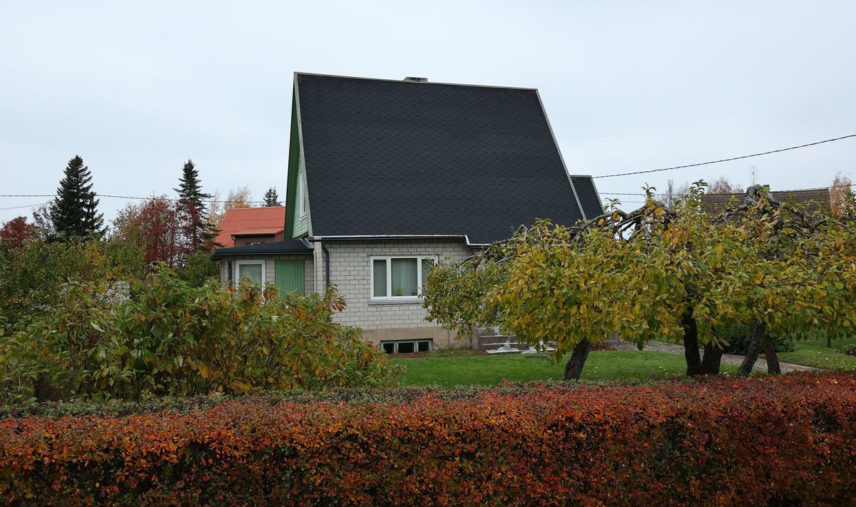 Rakvere eramaja keldrist leiti naisterahva surnukeha 