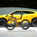 Lamborghini lasi välja 20 000 maksva jalgratta