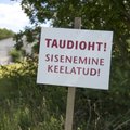 AMETLIK: Saaremaa seafarmis tuvastati sigade Aafrika katk