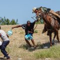 VIDEO | Tuhanded Haiti migrandid liiguvad USA piiri suunas: "Surm on kodumaale naasmisest parem!"