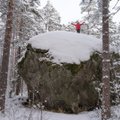 Eesti suurimad rändrahnud, mida tasub kindlasti oma silmaga vaatama minna