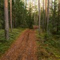 TUTTAV KÄEKIRI | Põhja-Pärnumaa imekauneid Mädara luiteid ähvardab liivakarjääriks muutmine
