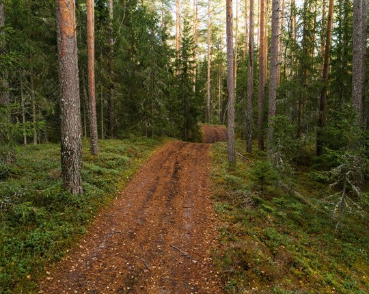 TUTTAV KÄEKIRI | Põhja-Pärnumaa imekauneid Mädara luiteid ähvardab liivakarjääriks muutmine