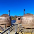 Бесплатная баня на озере Харку: городские парилки начинают летний сезон