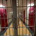 Работа заключенных Вируской тюрьмы нацелена больше на воспитательные выгоды