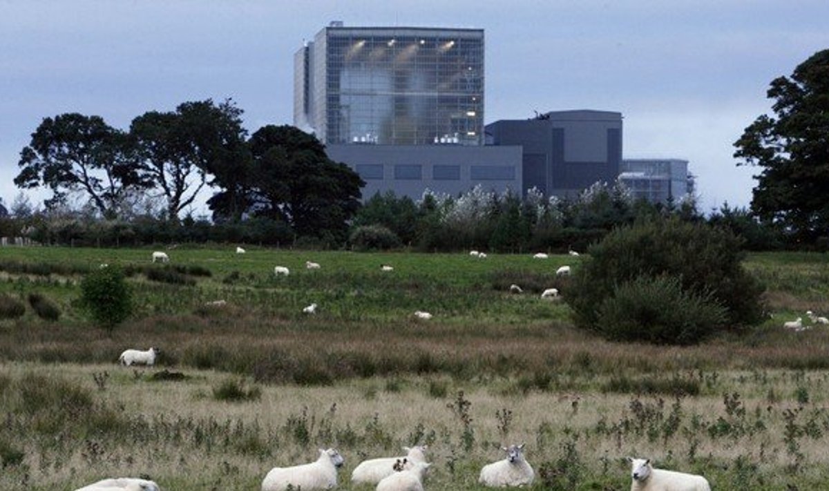 Hunterston B reaktori naabruses on lammaste karjamaa