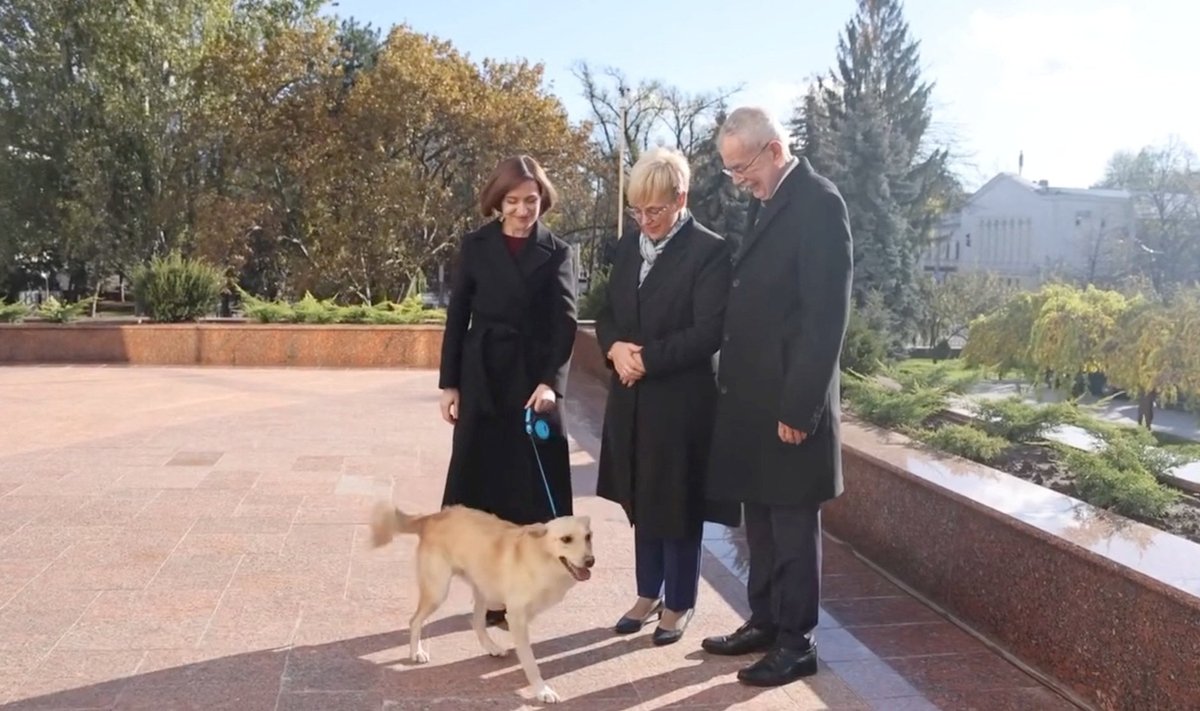 Maia Sandu tutvustas oma neljajalgset sõpra ametikaaslastele Sloveeniast ja Austriast. Alexander Van der Bellen üritas peagi koerale pai teha, aga see katse võttis valusa pöörde.