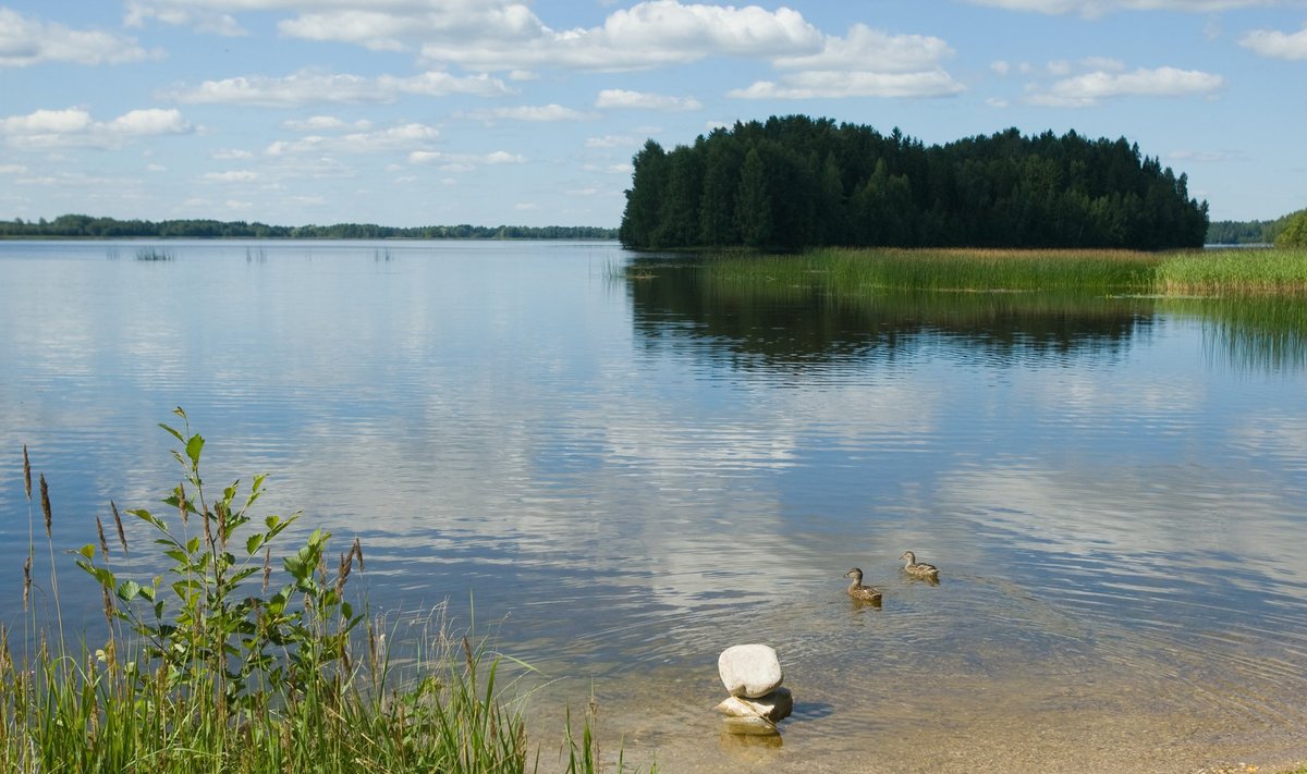 Tallinna veehaardesüsteemi peamine "veemahuti" on Paunküla veehoidla.
