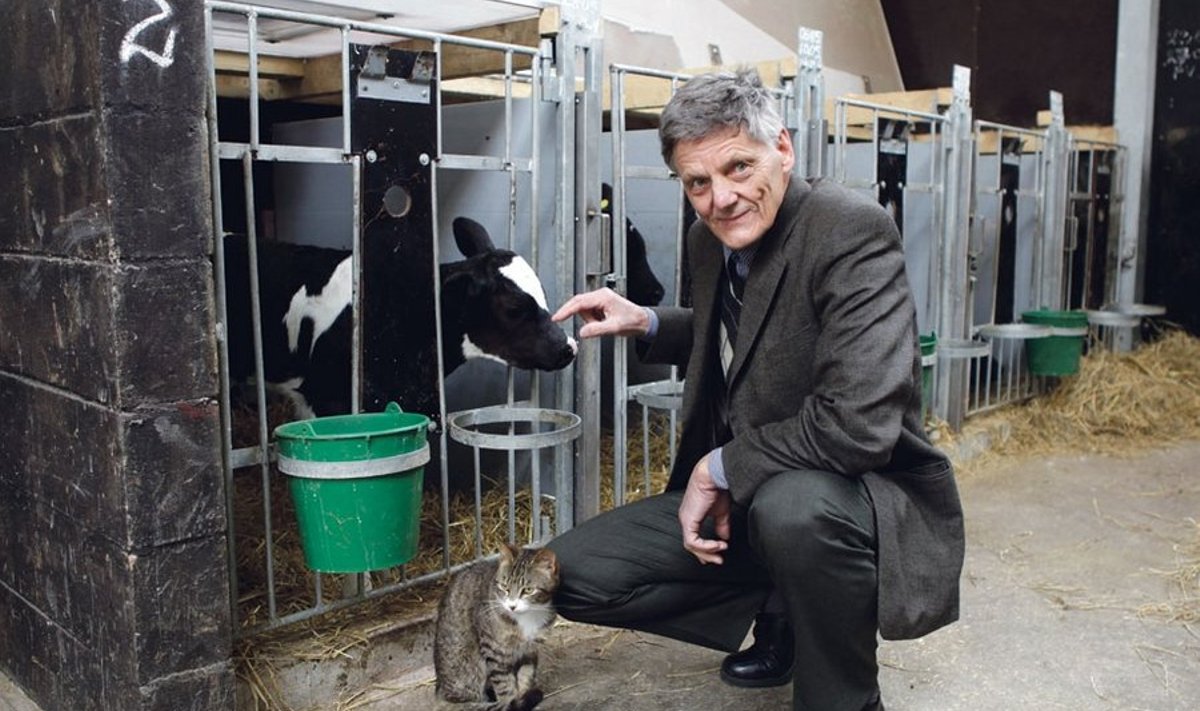 “Perefirma on koondanud nüüdseks kogu karja Loksakülla ja piimatootmine on muutunud ökonoomsemaks,” räägib JK Otsa Talu juhataja Jaan Kiisk uues noorkarjalaudas.