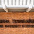 Tallinna tehnikaülikool kriitikutele: rahvusvaheline lühinimi TalTech võeti enamuse heakskiiduga vastu