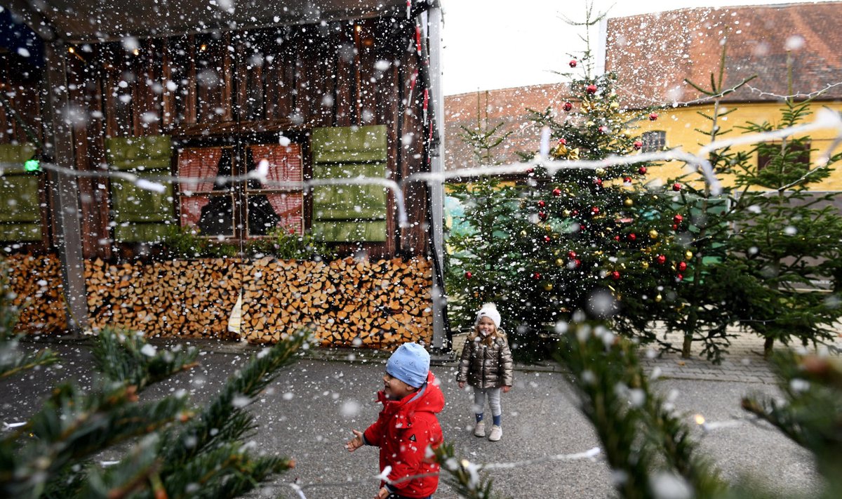 Lapsed mängivad Saksamaal Landshuti jõuluturul
