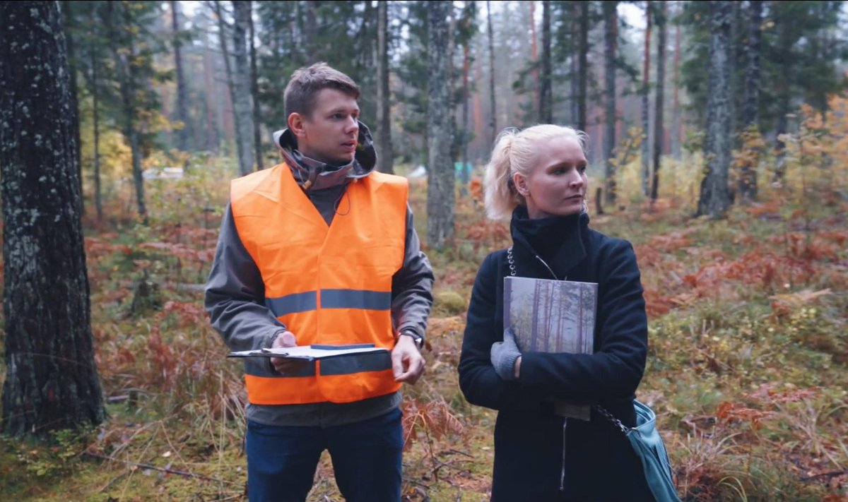 Metsakonsulent Tarvo Aasveri sõnul arutatakse koos metsaomanikuga läbi, kuidas on metsas kõige otstarbekam tegutseda.