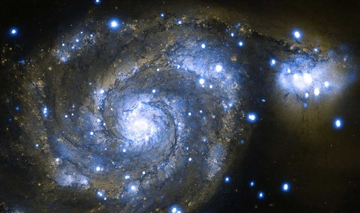 Galaktika NGC 5195 supermassiivne must auk. Röntgenpilt: NASA/CXC/Univ of Texas/E.Schlegel et al; Optical: NASA/STScI