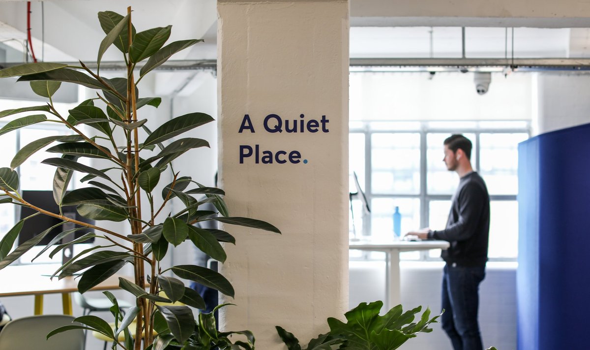 Wise’i kontori rahulik töökoht. Avatud kontoris otsivad töötajad enamasti rahulikku töökeskkonda, kus keegi visuaalselt ega heliga ei häiriks.