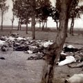 Läti seim mõistis hukka armeenlaste genotsiidi Osmanite impeeriumi poolt