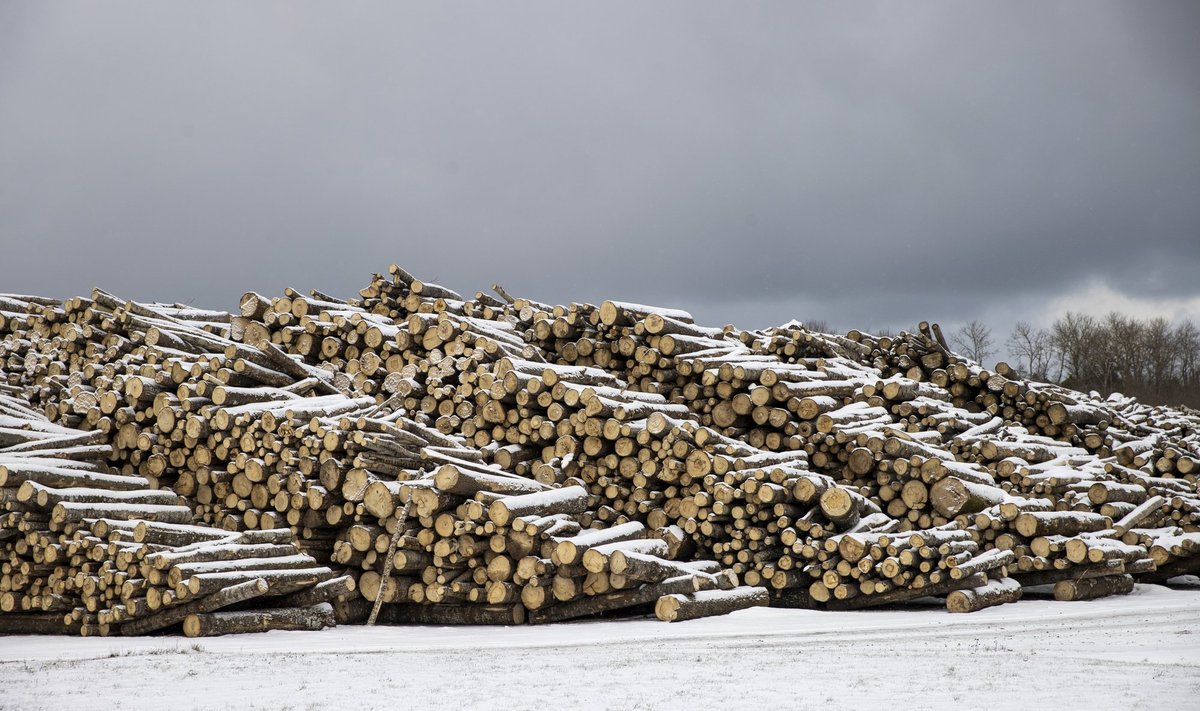 Valitsus plaanib vähendada Lääneriikide nõudlust Eesti puidule