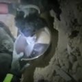 VIDEO: Õnnelik lõpp! Päästekoer nuusib Itaalia maavärina rusude vahelt välja lootusetult kinni jäänud koera