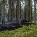 На полигоне в Мяннику вспыхнул пожар