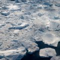 Värske uuring: jääaegade tekke võti on Antarktika merejää