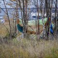 ФОТО DELFI: На улице ноябрь, а за Горхоллом люди живут в палатках