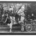 VANA FOTO: Kuidas sajandi alguses poole hobujõuga kirikusse saadi