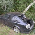 ФОТО: В Вильяндимаа автомобиль врезался в дерево
