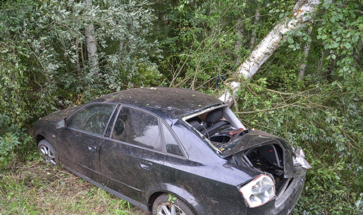 Audi sõitis Viljandimaal vastu puud
