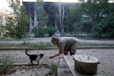 Местная жительница, 72-летняя Татьяна, продолжает подкармливать животных, оставленных владельцами в ходе эвакуации. Каждый день, несмотря на интенсивные обстрелы, она готовит и раздает еду брошенным животным.