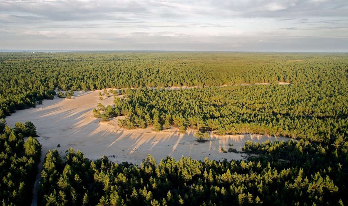 Kaibaldi liivik on Eesti suurim kõrbeala.