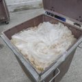 HKScan извинилась за оставленных в мусорных контейнерах цыплят