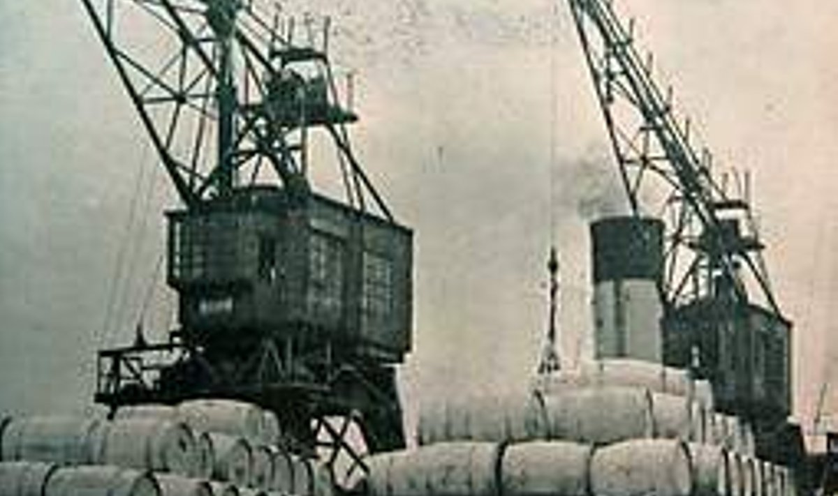 INGLISMAALE: Võitünnid ootavad Tallinna sadamas laadimist Inglise aurikule. Foto aastast 1937.