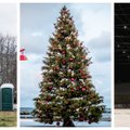 ФОТО | Самые красивые рождественские елки Эстонии: вам какая больше нравится?