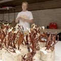 Kunstiakadeemias valmib seeneniidistikust tulevikumaterjal