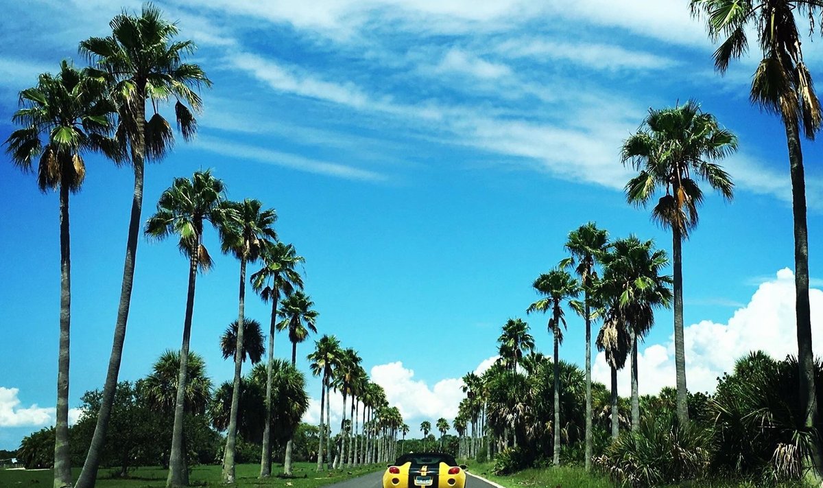 PÄRAST TORMI: Kollane sportauto kollase päikese all Fort de Sotos Floridas.
