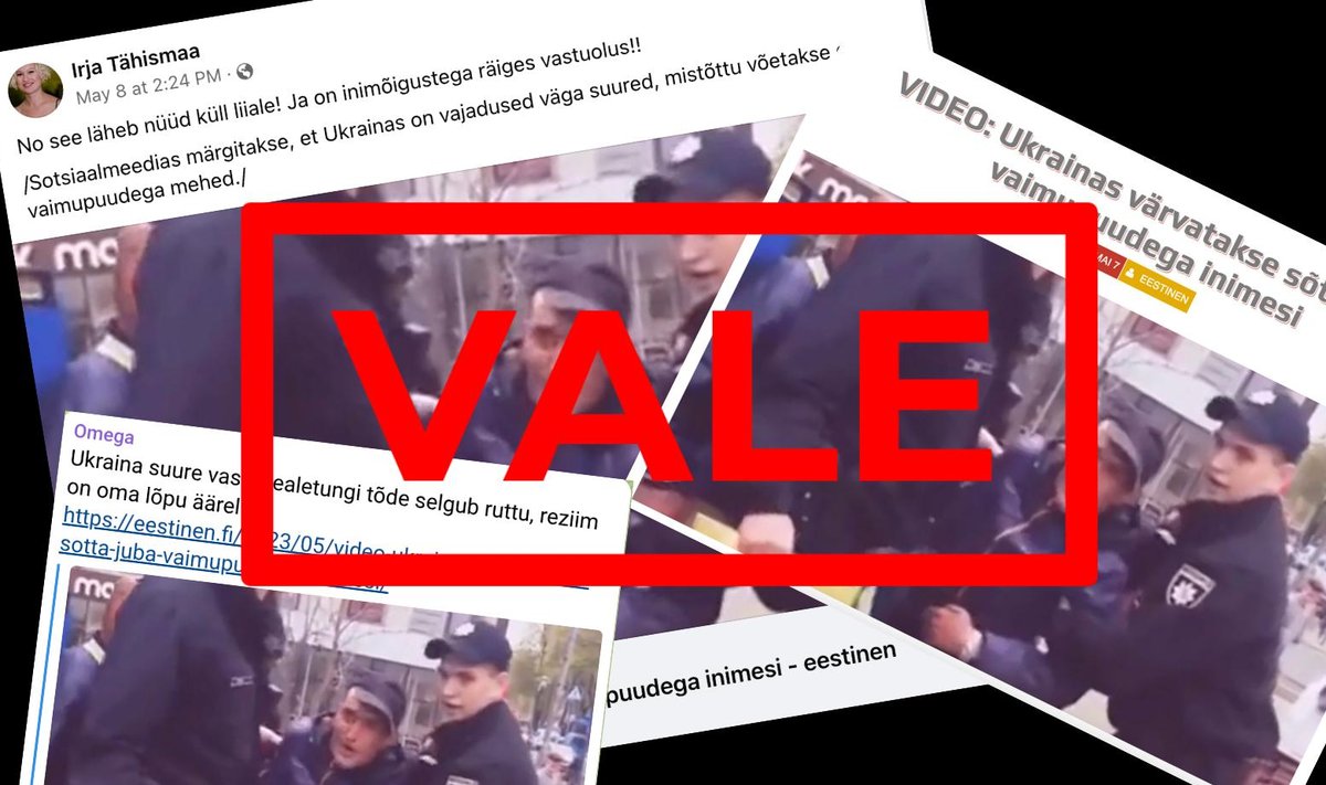 Eestineni artikkel ja postitused sotsiaalmeedias