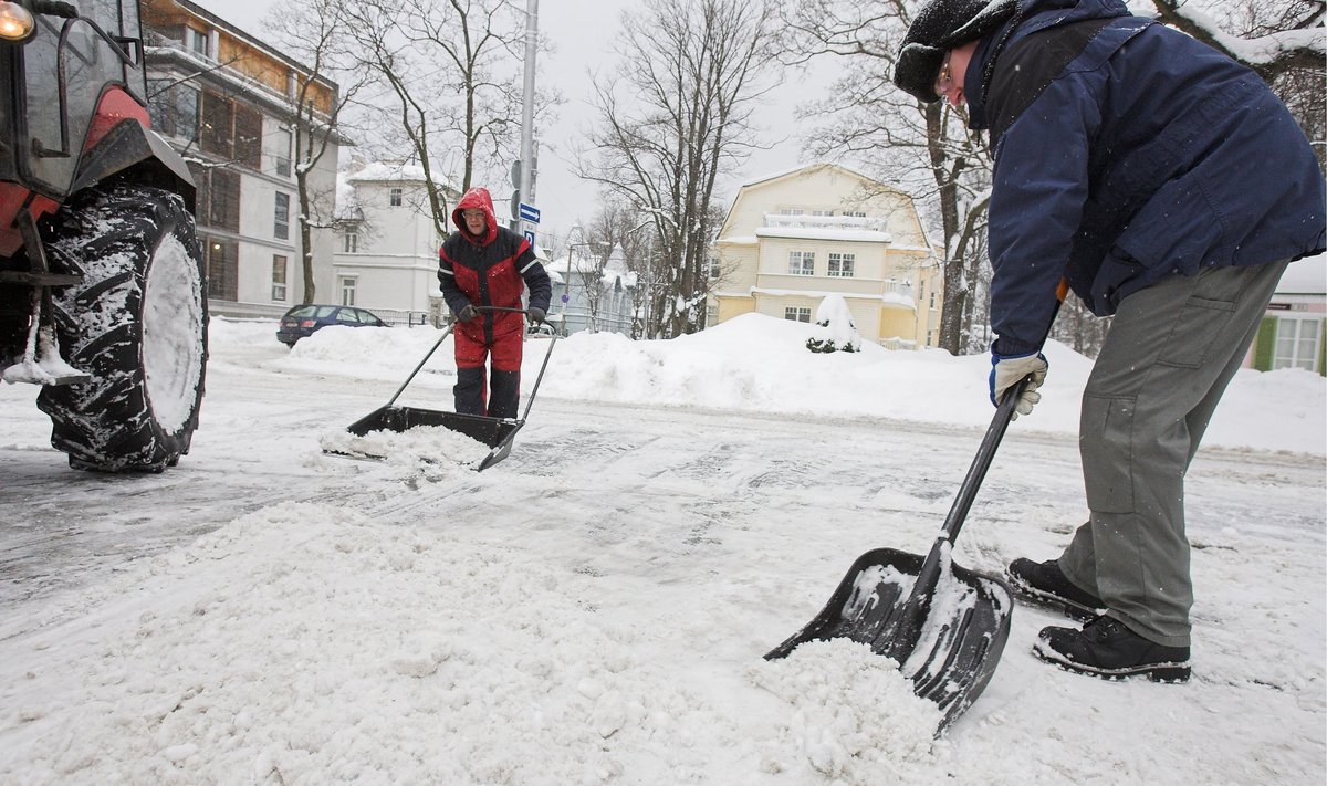 Ossinovski sõnul on linnavalitsus lumekoristusega seotud otsustest selgelt teavitanud.