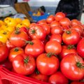 Silja Lättemäe: kodumaist tomatit on nüüd jälle vähem