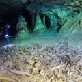В гигантской подводной пещере в Мексике нашли скелет древнего человека